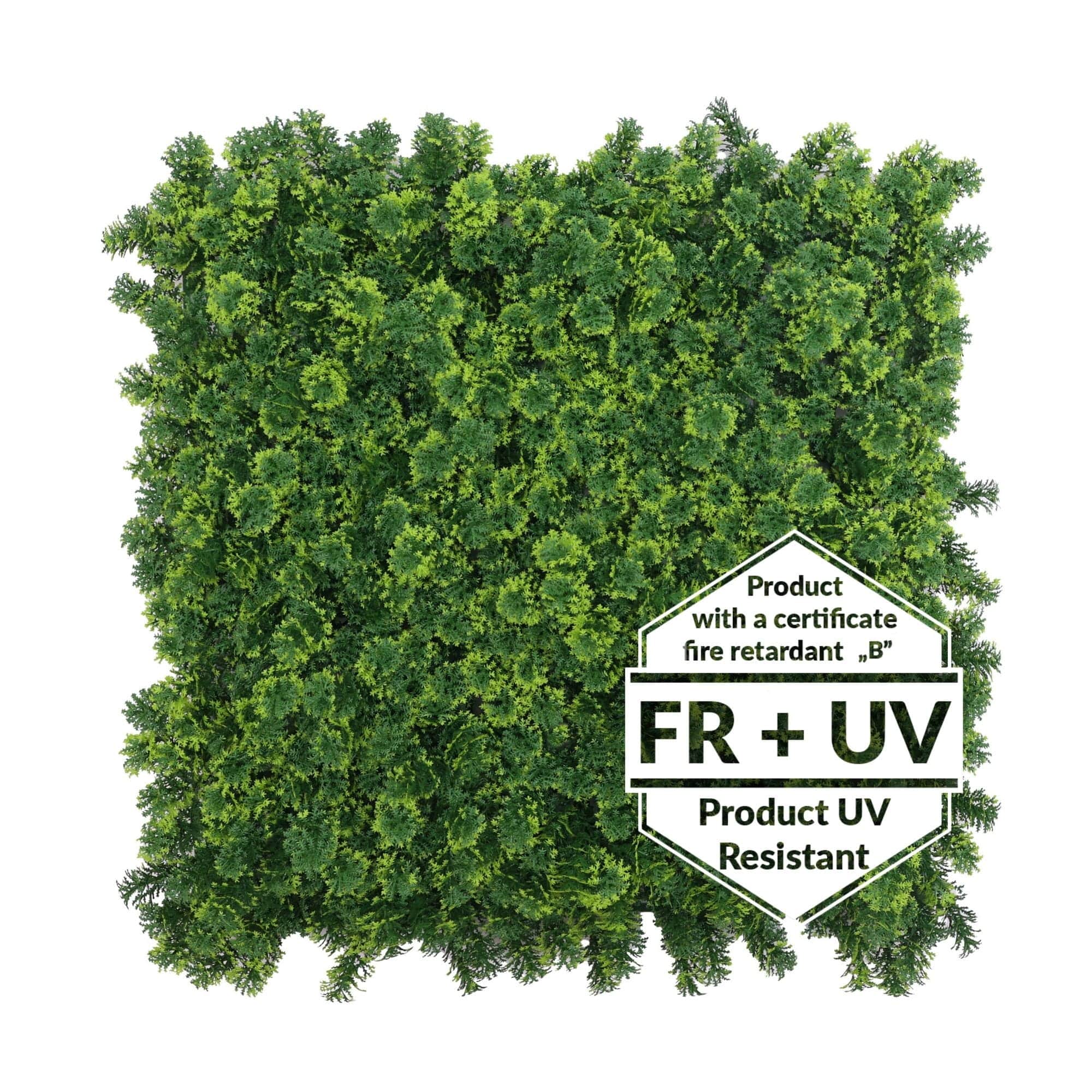 Tapis vert artificiel Ptérygion FR - B UV 50x50cm